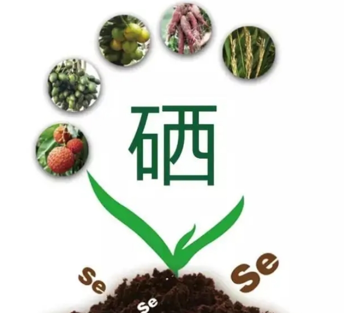 ʲôǸЩrֵ